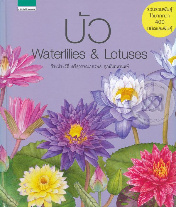 บัว  Waterlilies & lotuses 