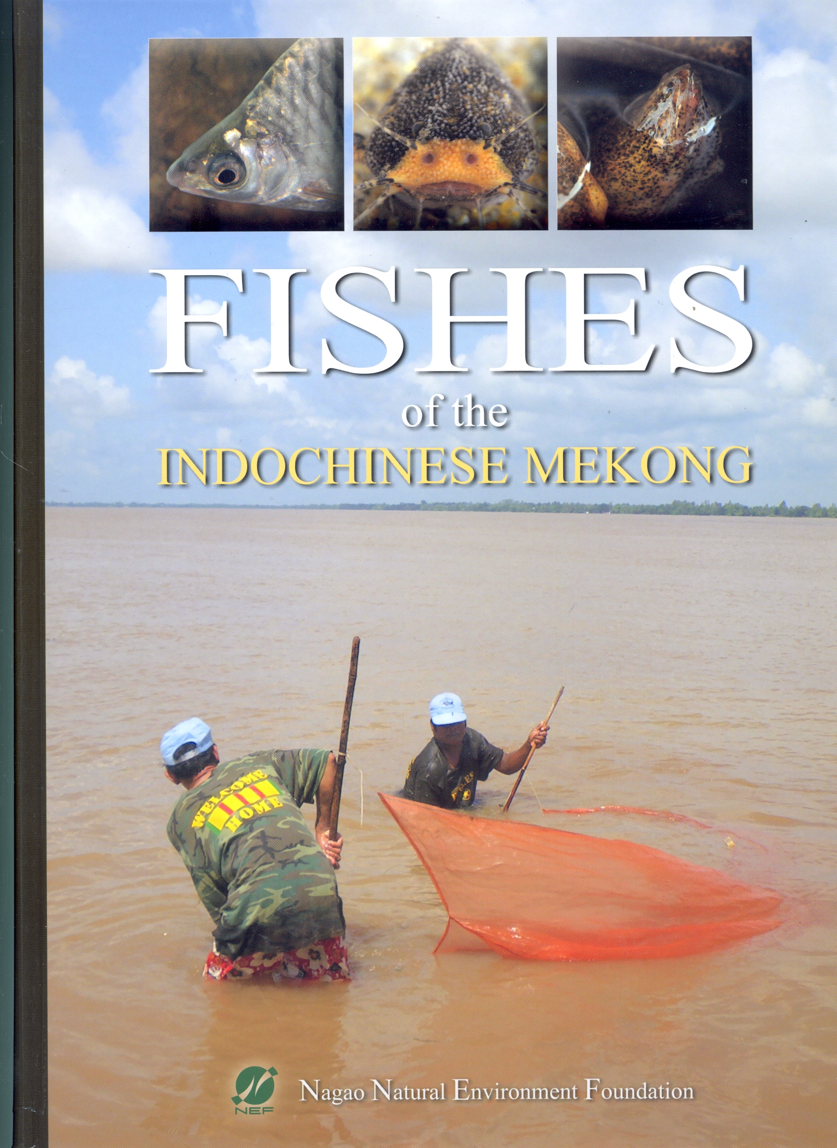 Fishes of the Indochinese Mekong 