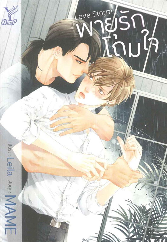 พายุรักโถมใจ Love storm