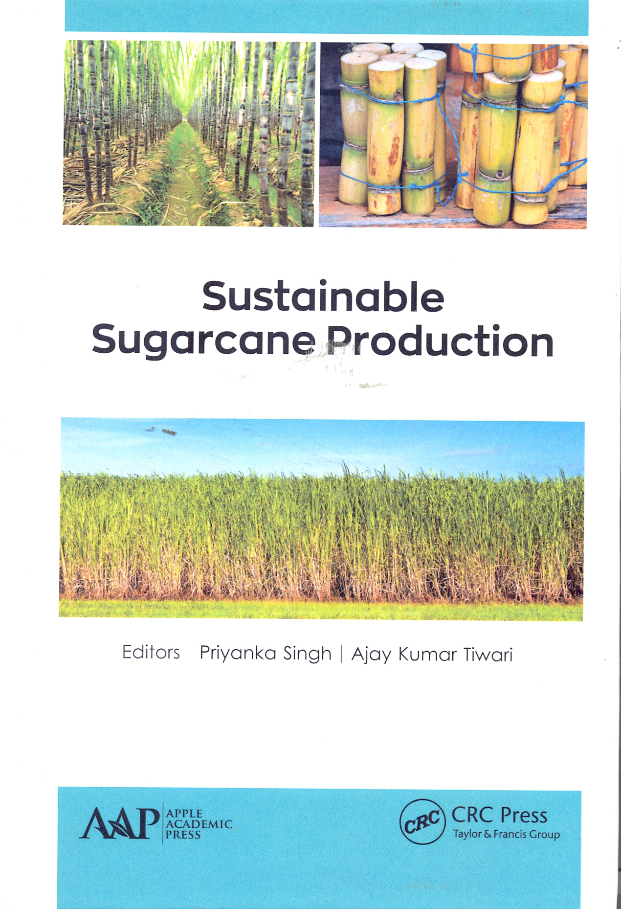 Sustainable sugarcane production